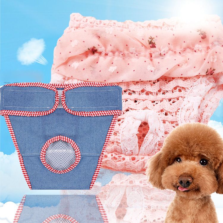 Shine Chiffon Physiological Pants for Small Medium Dogs Chiffon Pants Blue S view 3