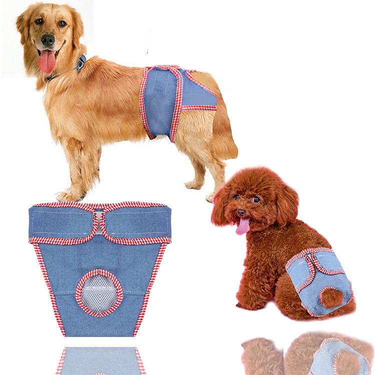 Shine Chiffon Physiological Pants for Small Medium Dogs Chiffon Pants Blue S view 4
