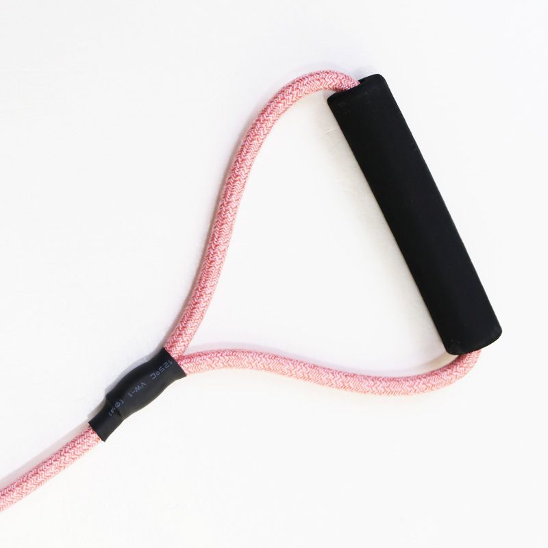 Zichen Nylon Dog Leash Medium Large Pet Pink 0.8 view 4