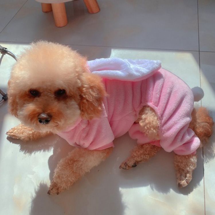 Pet Clothes Shine Coral Fleece Rabbit Costume Four-Leg Flannel view 4