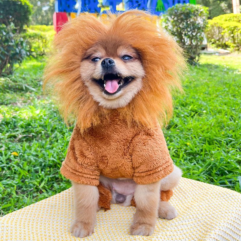 Shine Pet Costume Four Leg Warm Coral Fleece Golden Lion Four Leg Flannel 2XL view 7