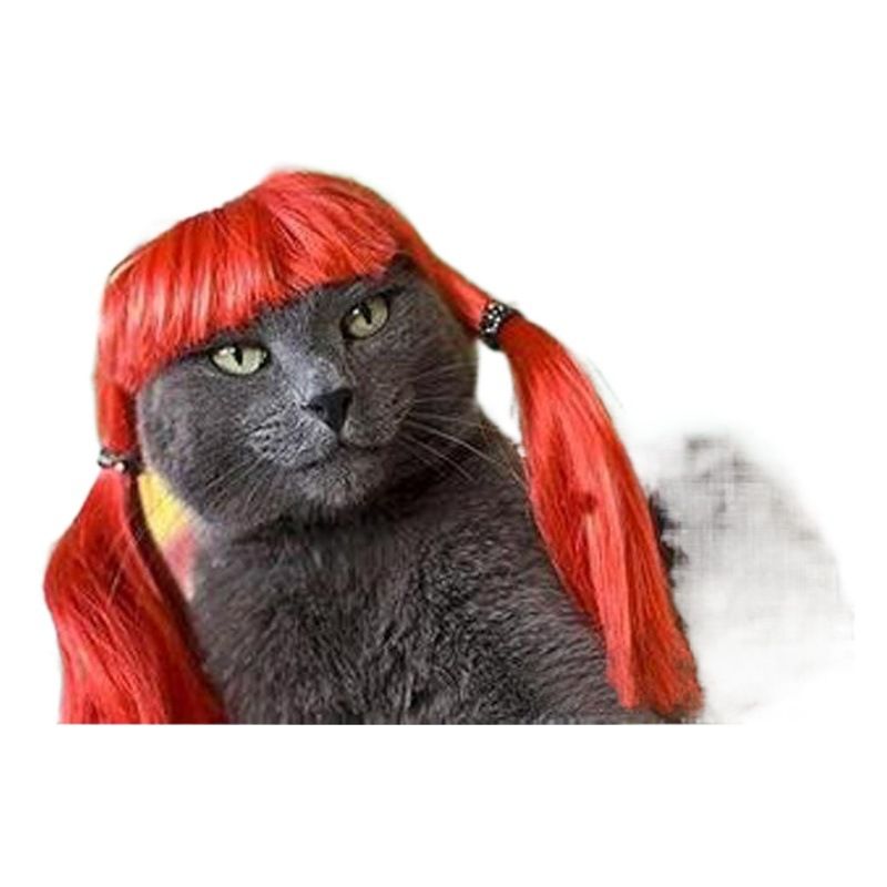 Pet Wig Halloween Costume Orange view 2