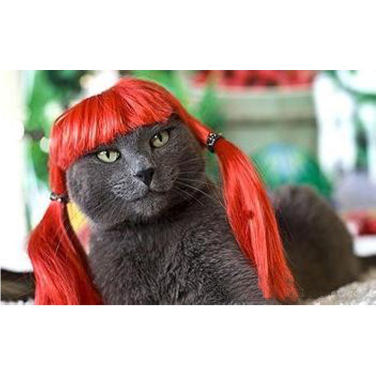 Pet Wig Halloween Costume Orange view 3