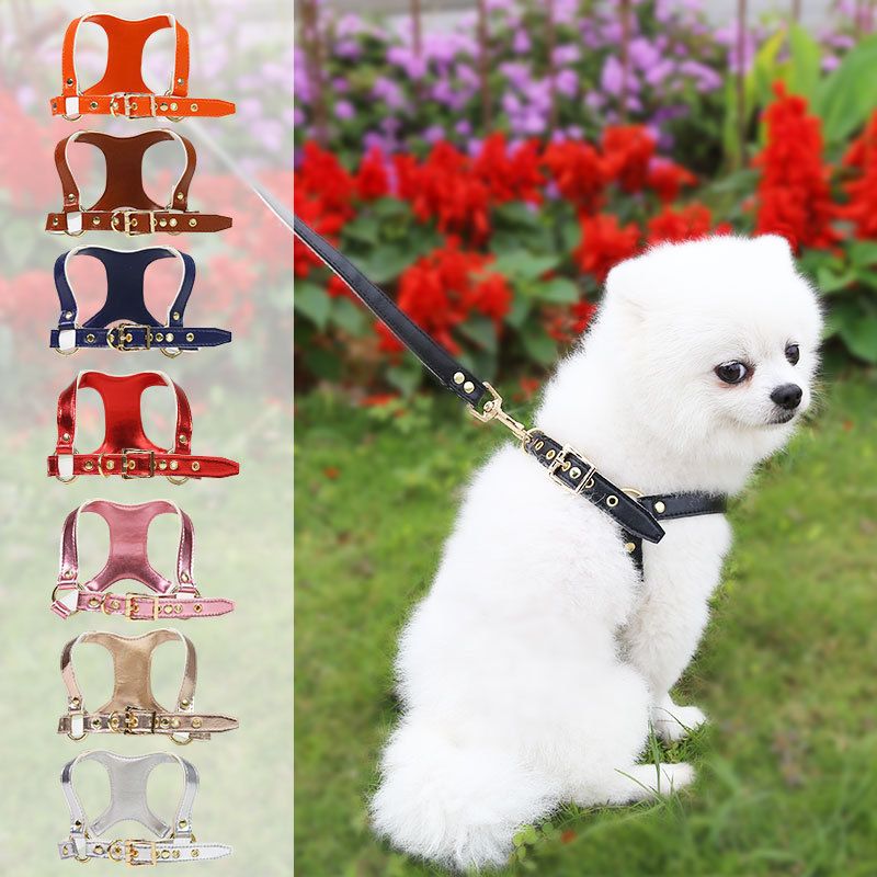 Shine Dog Cat Harness Leash PU Retractable Set Leather chest and back traction view 2
