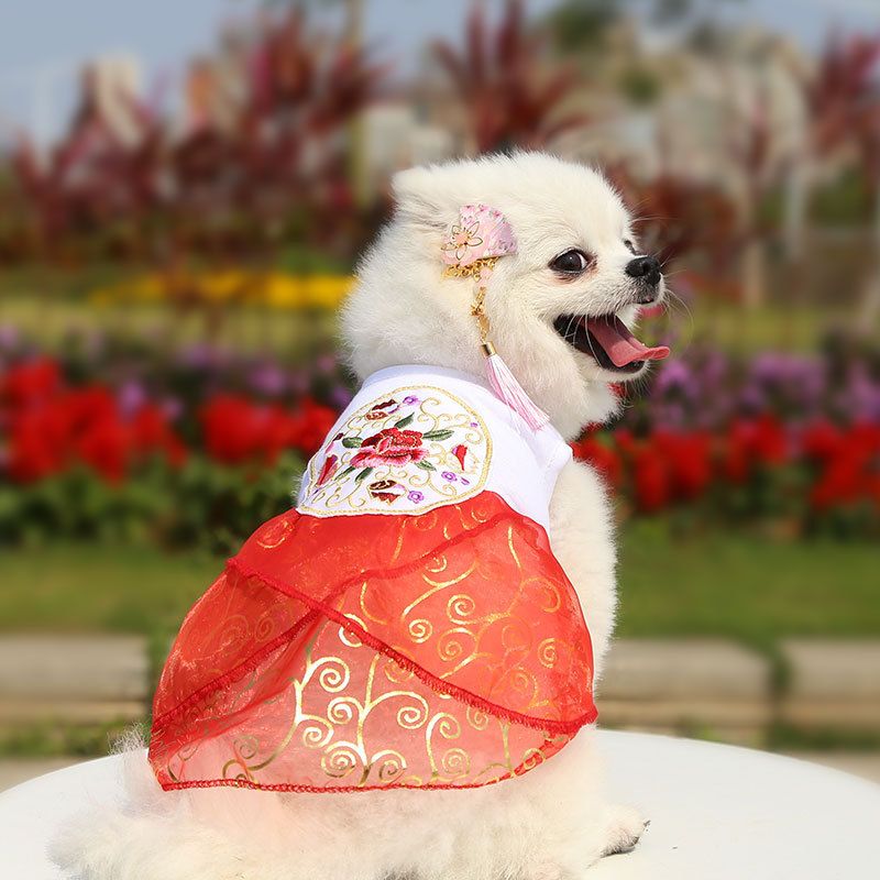Shine Pet Wedding Dress Polyester Skirt Disc embroidery rainbow strip S bust view 4