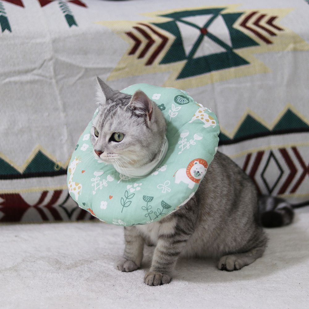 Ada Soft Cat Elizabeth Collar Post Surgery Small strawberry S: adjustment view 2