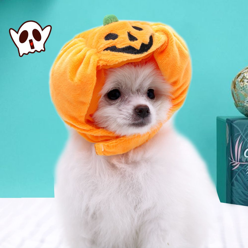 Shine Pumpkin Pet Hat for Dogs Cats Halloween The hat! Orange Pumpkin S small