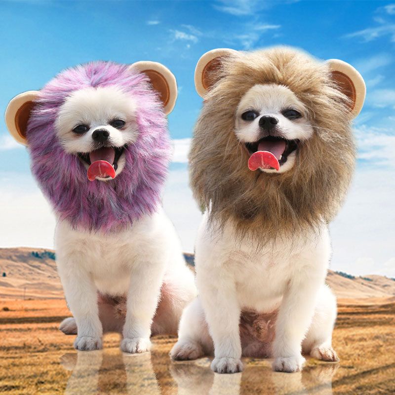 Pet Lion Hat Dog Cat Costume Acrylic Crochet Purple Lion Hat M neck view 5