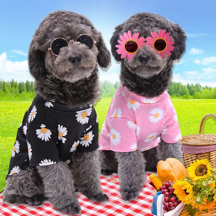 Pet Clothing Two Legged Clothes Cartoon Duck Style Pink Chrysanthemum T-Shirt view 3