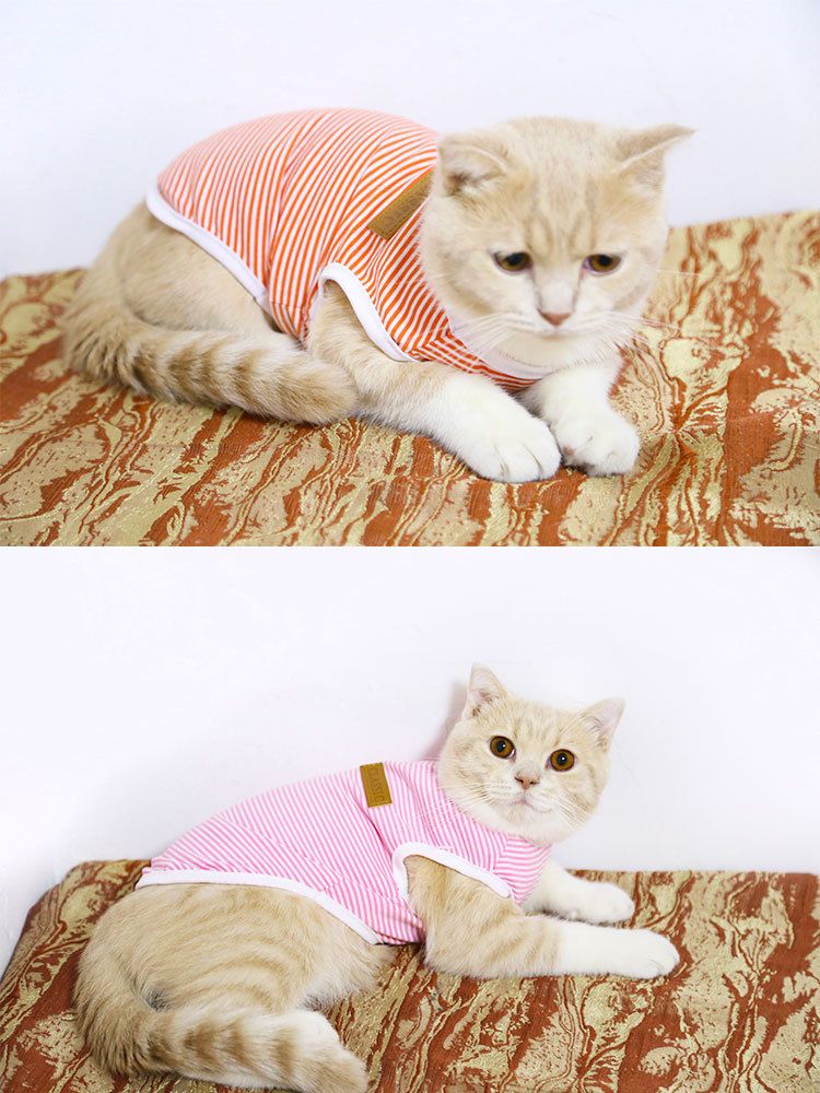shine Dog Cat Vest Cotton Striped Small Medium Vest-Purple Stripe XS bust 30cm view 5