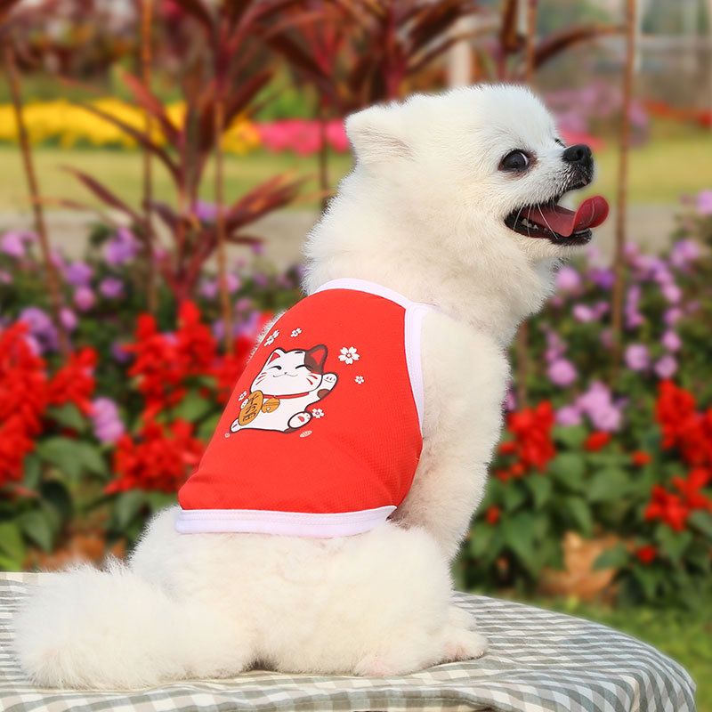 Pet Vest Mesh Breathable Polyester Small Medium Camisole White dark blue view 6