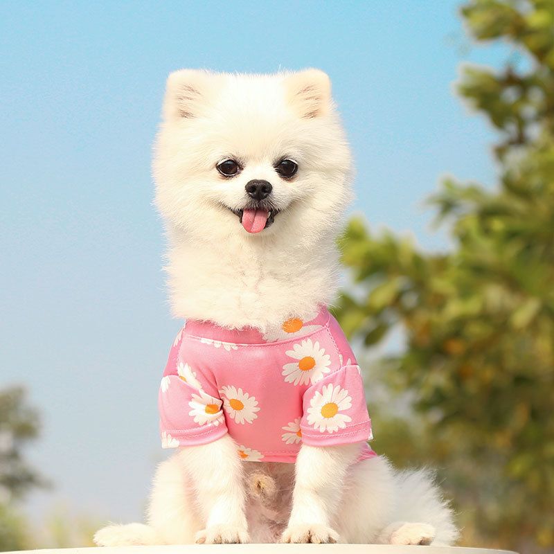 Pet Dog Cat T Shirt Clothes Shine Short Sleeve Powder chrysanthemum T-shirt view 5