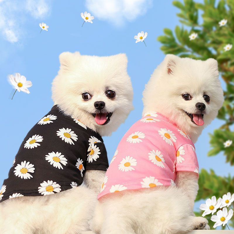 Pet Dog Cat T Shirt Clothes Shine Short Sleeve Powder chrysanthemum T-shirt view 3
