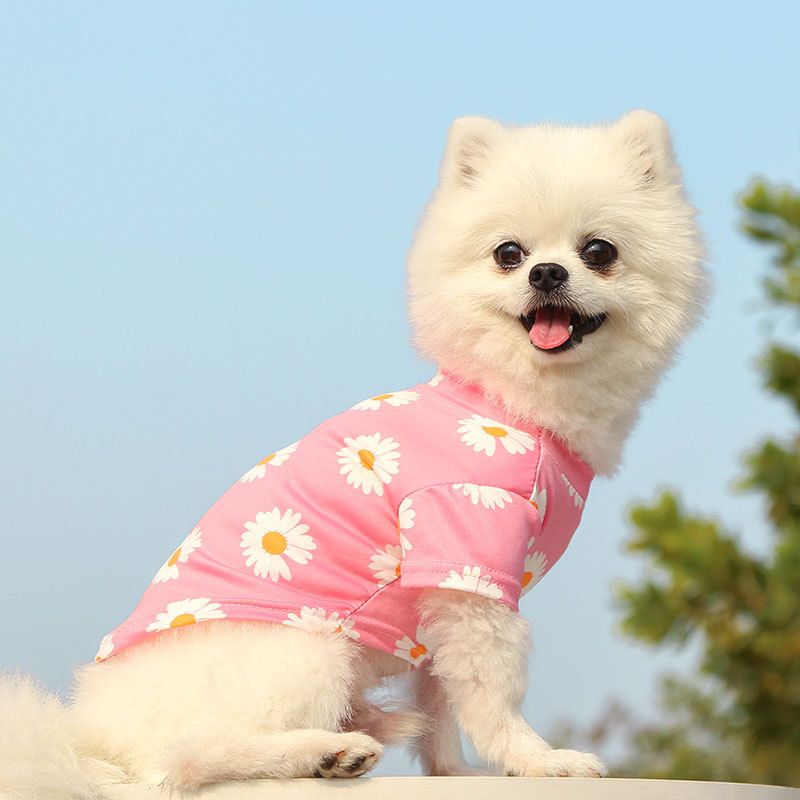 Pet Dog Cat T Shirt Clothes Shine Short Sleeve Black chrysanthemum T-shirt view 4