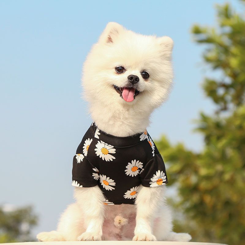 Pet Dog Cat T Shirt Clothes Shine Short Sleeve Black chrysanthemum T-shirt view 6