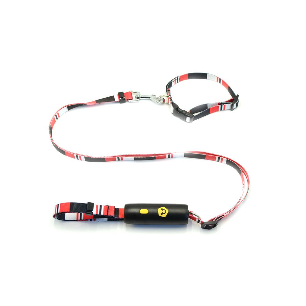 A family of Youchong Nylon Dog Leash and Collar Set Pink suit-M size Elastic view 2