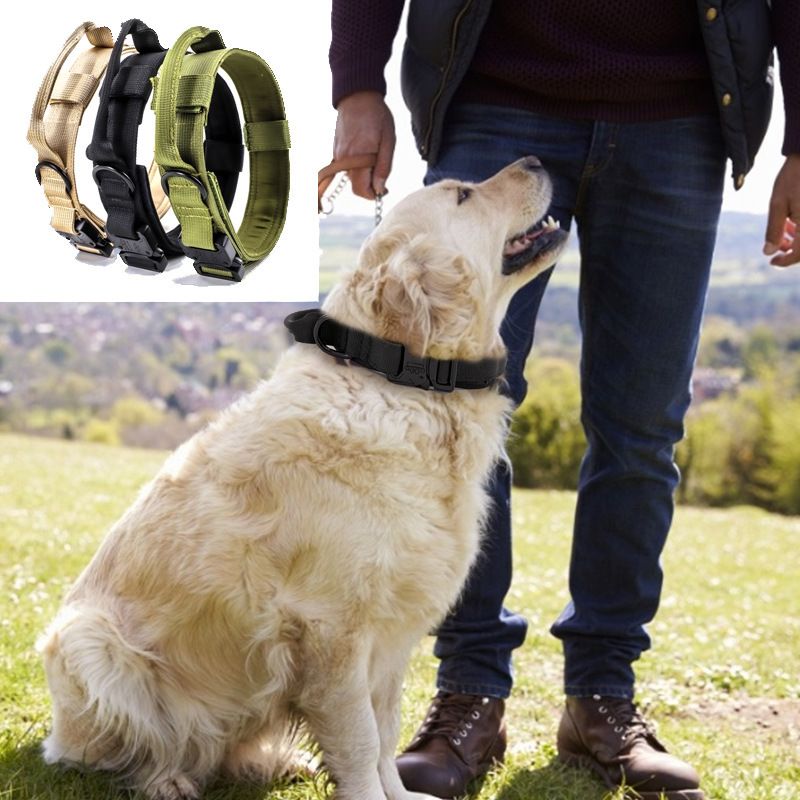 Nylon Dog Collar Training Buckle 3.8cm Green XL code (50-62cm) view 4