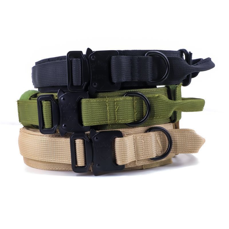 Nylon Dog Collar Training Buckle 3.8cm Khaki L code (42-54cm) view 6