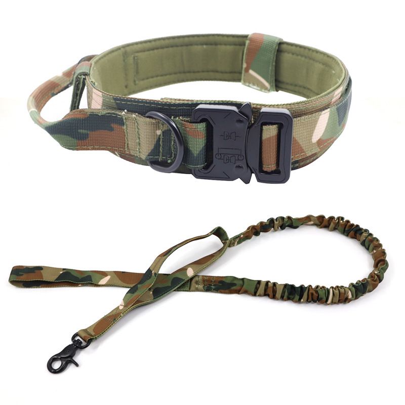 Nylon Dog Collar Training Buckle 3.8cm Fan color suit M code (36-48cm) — image 1
