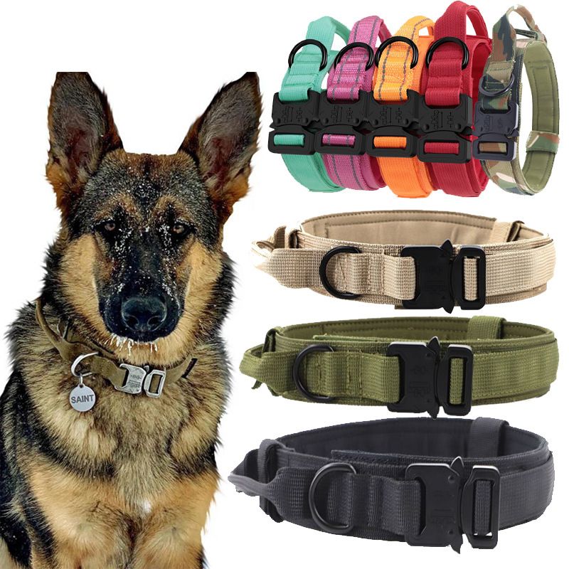 Nylon Dog Collar Training Buckle 3.8cm Fan color suit L code (42-54cm) view 2