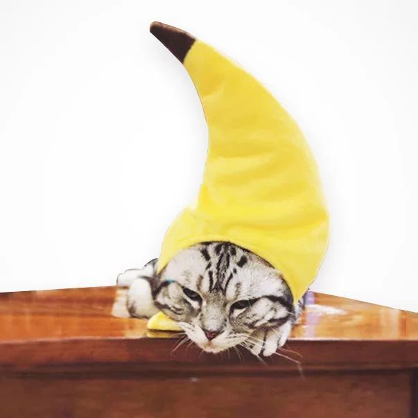 Halloween Dog Cat Hat Scarf Set Beautiful Pet Wool Felt Banana hat All yards — image 1