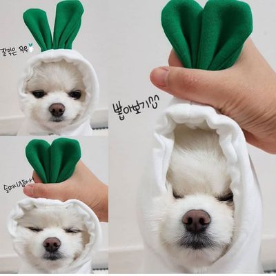 Pet Sweatshirt Beautiful Pet Polyester Fleece Autumn Banana Sweatshirt view 4