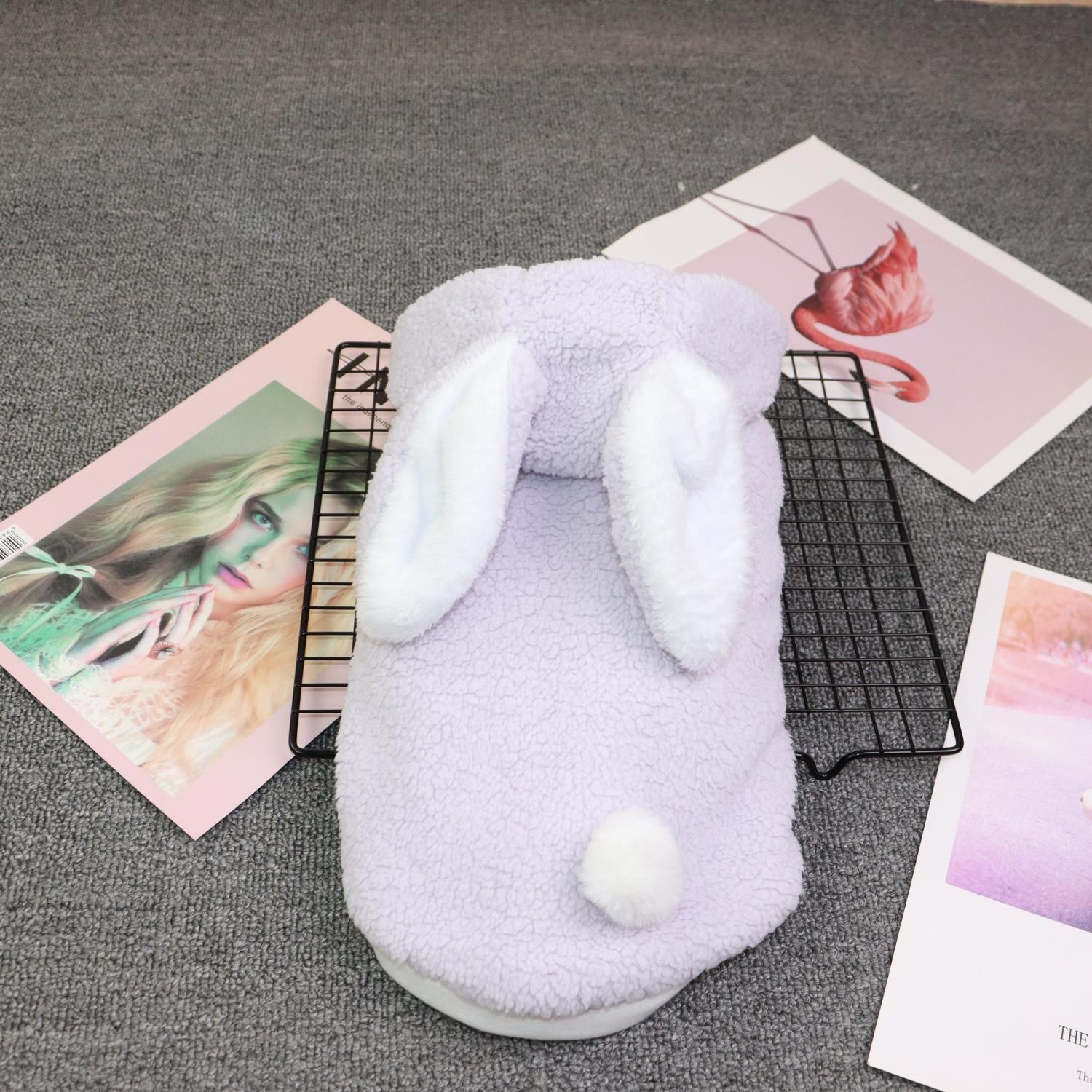 Qichong Pet Dog Clothes Two-legged Rabbit Autumn Winter White Rabbit Princess view 4