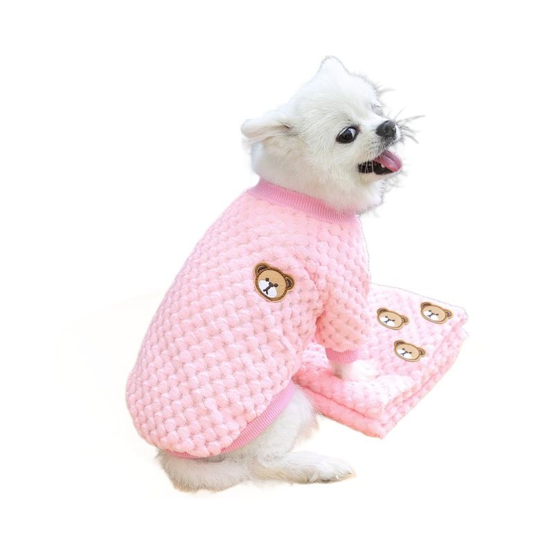 Shine Pet Clothes Coral Fleece Two Leg Dog Cat 285 pineapple foundation bear view 7