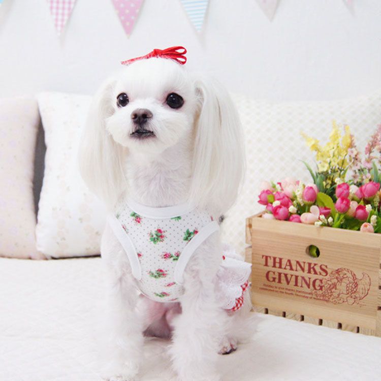 Pet Princess Dress Polyester Teddy Dog Skirt Pink Rose Paid Skirt L (bust 45 view 5