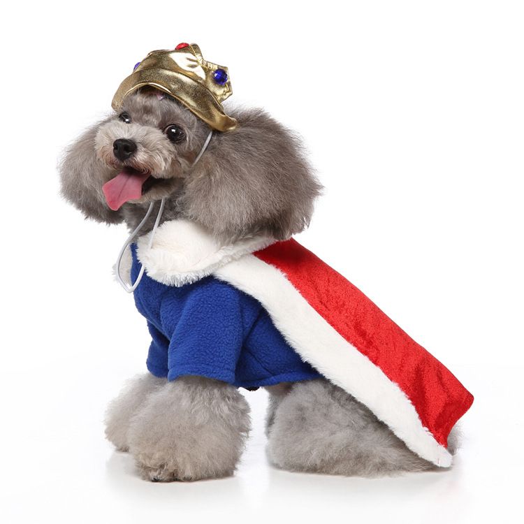 MEIQIPETBABY Dog Costume Polyester Small Breed SDZ132 King XL Size: XL — image 1