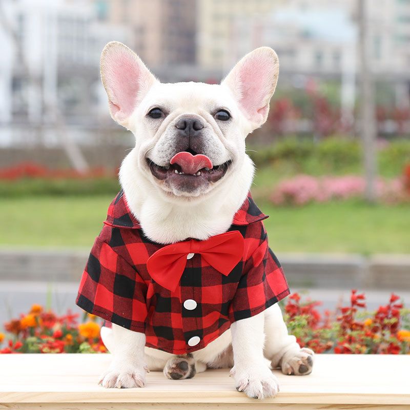 Shine Dog Plaid Shirt Polyester Two-legged Clothes Red and Black Plaid Bow-tie view 5