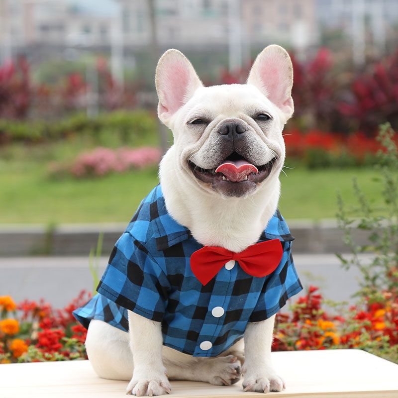 Shine Dog Plaid Shirt Polyester Two-legged Clothes Blue and Black Plaid view 6