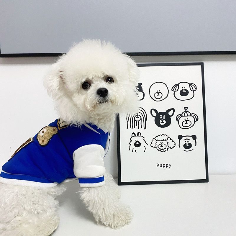Pet Sweater for Dog and Cat Warm Autumn Winter Clothing Blue Sweatshirt Fabric view 5