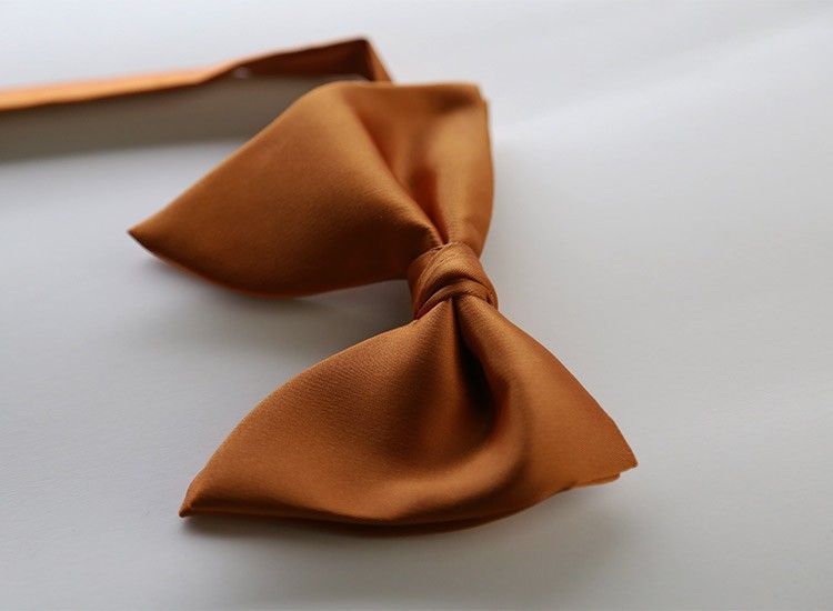 Men Bow Tie Solid Color Black Polyester view 4