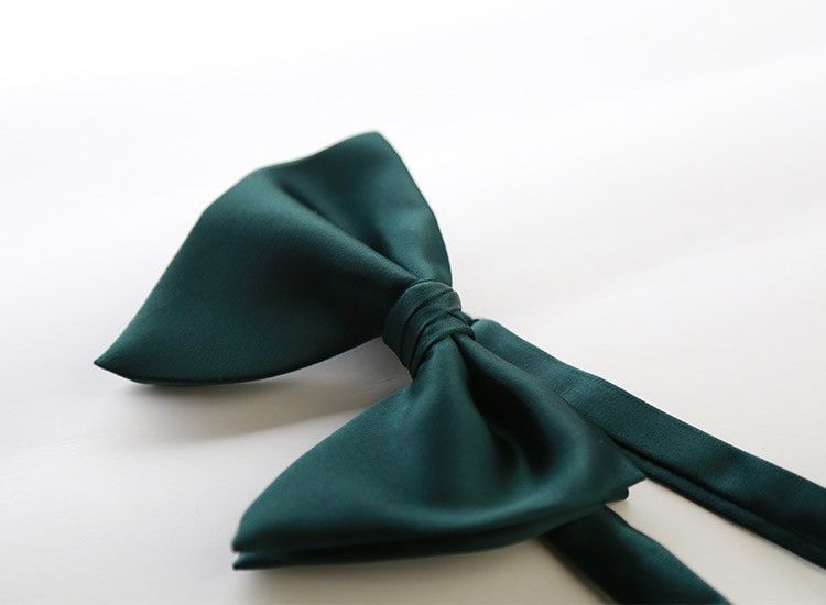 Men Bow Tie Solid Color Black Polyester Lotus root starch view 5
