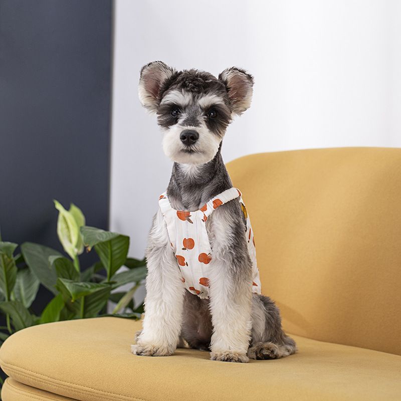 New Mai Lei Summer Cotton Fruit Print Dog Vest Green 2XL view 5