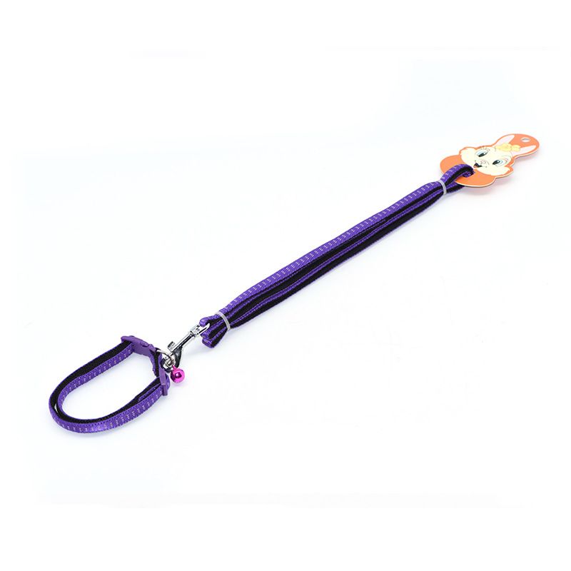 Zichen Nylon Dog Leash for Small and Medium Dogs Brown (nylon SBR foam pull view 3