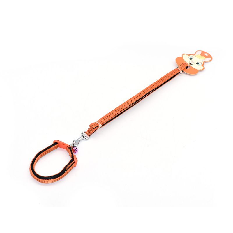 Zichen Nylon Dog Leash for Small and Medium Dogs Red (nylon SBR foam pull view 6