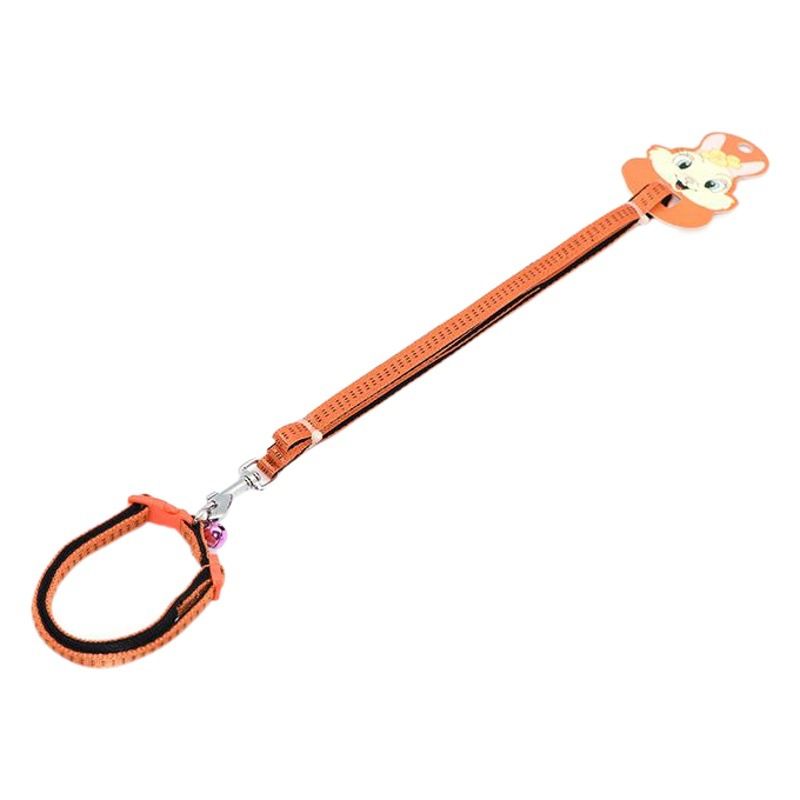 Zichen Nylon Dog Leash for Small and Medium Dogs Purple (nylon SBR foam pull view 2