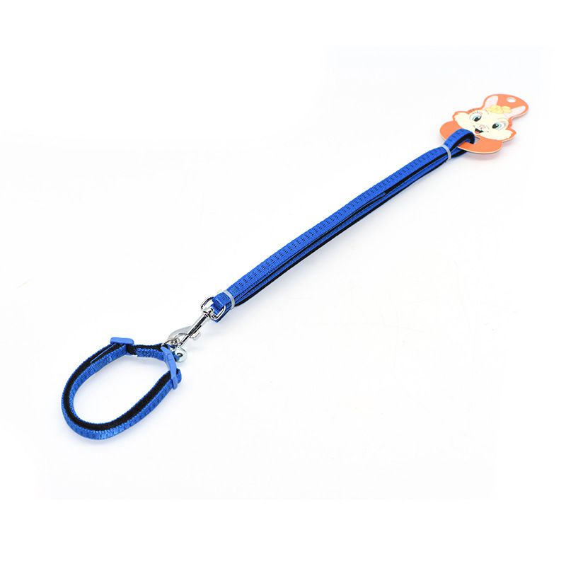 Zichen Nylon Dog Leash for Small and Medium Dogs Lake Blue (nylon SBR foam view 5