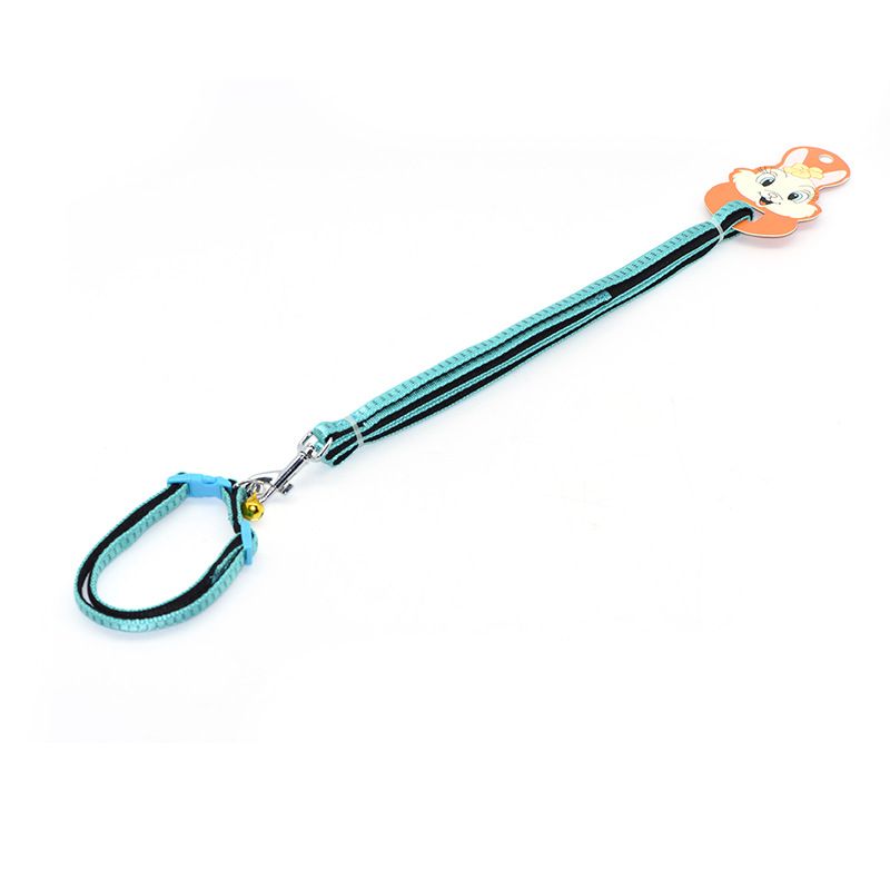 Zichen Nylon Dog Leash for Small and Medium Dogs Black (nylon SBR foam pull view 5