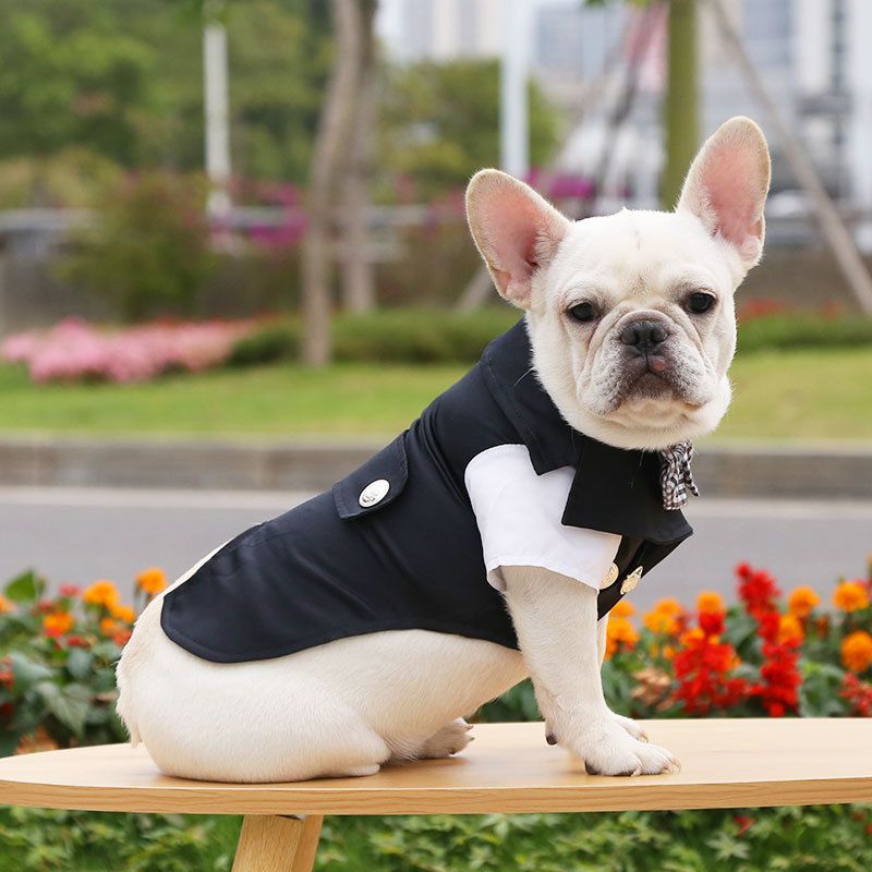 Pet Dog Suit Polyester Black Style L Prellis Collar Black Suit L bust 40 back view 5