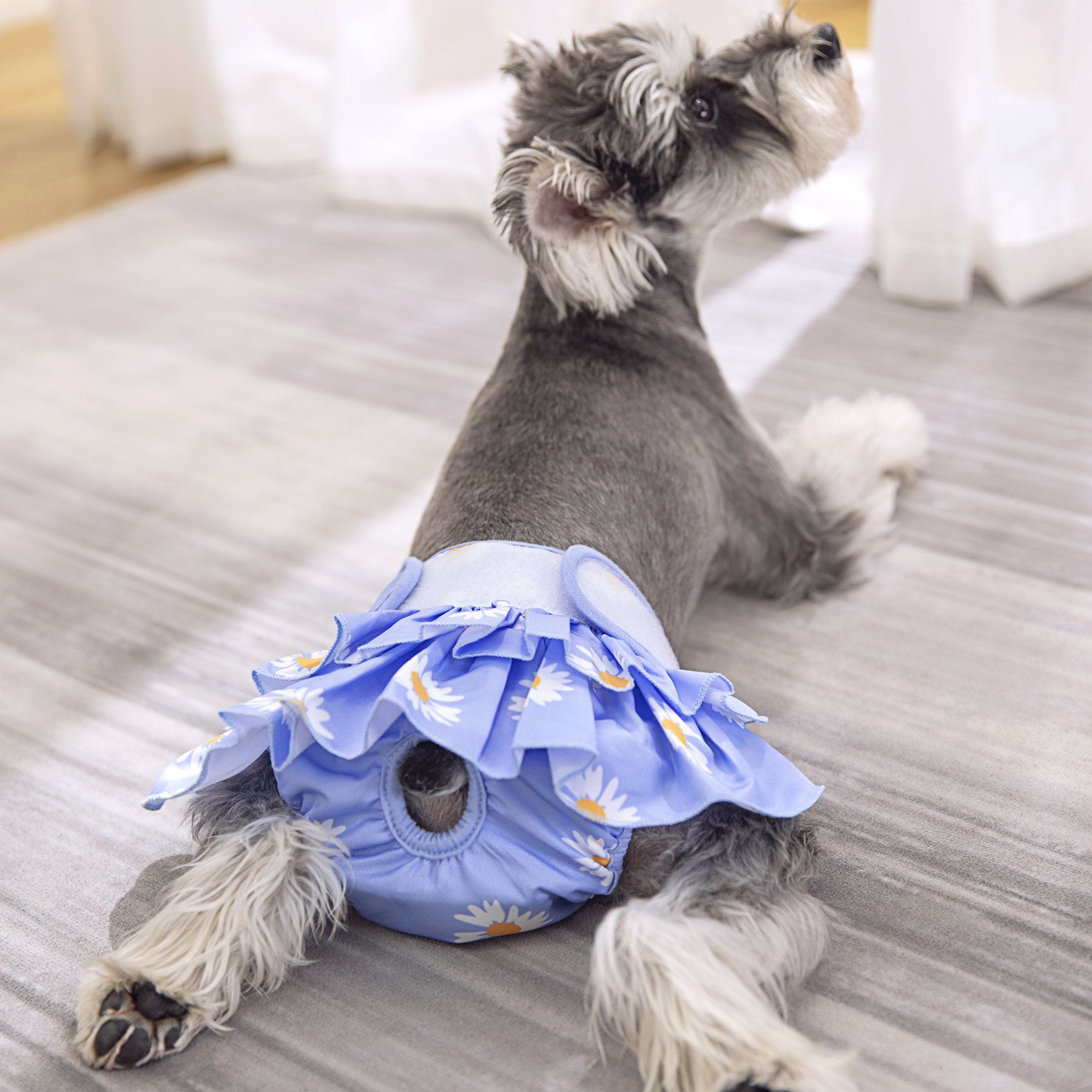Happy Dog Menstrual Pants Cotton Leak Proof Chrysanthemum light green M(0.07kg) view 4