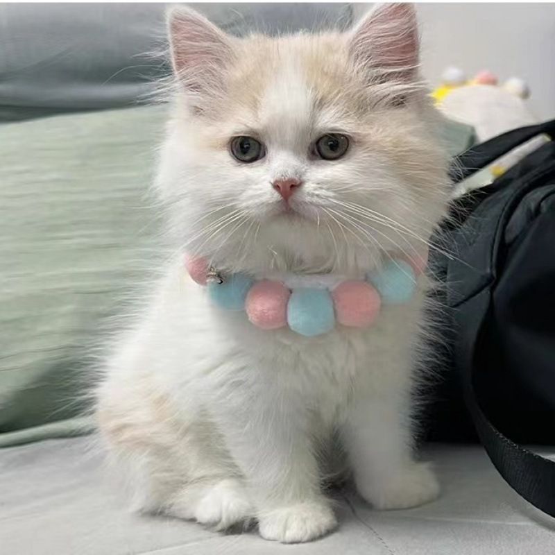 Cute Pet Fur Ball Collar for Cats and Dogs Mint Green All yards — image 1