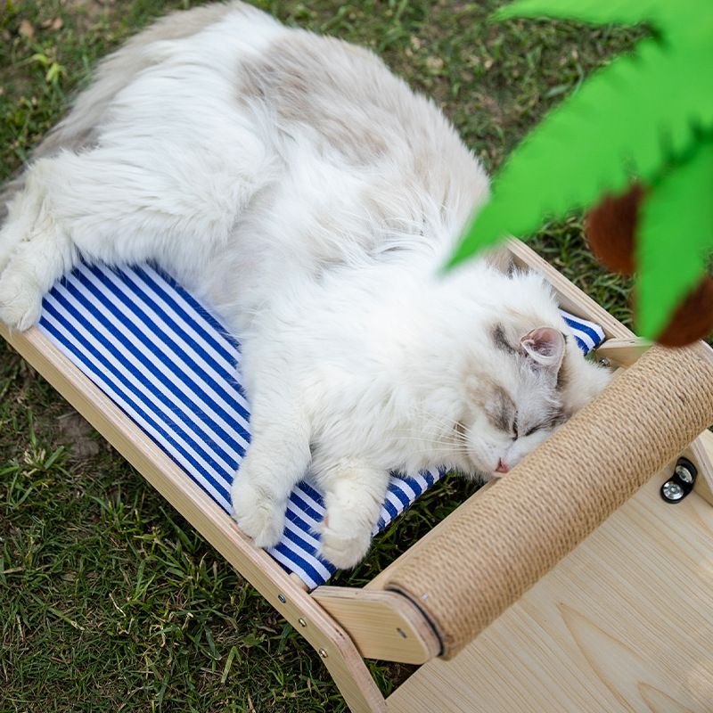 Lailey Cat Coconut Tree Climbing Frame Sisal Post [Solid wood multilayer] view 2