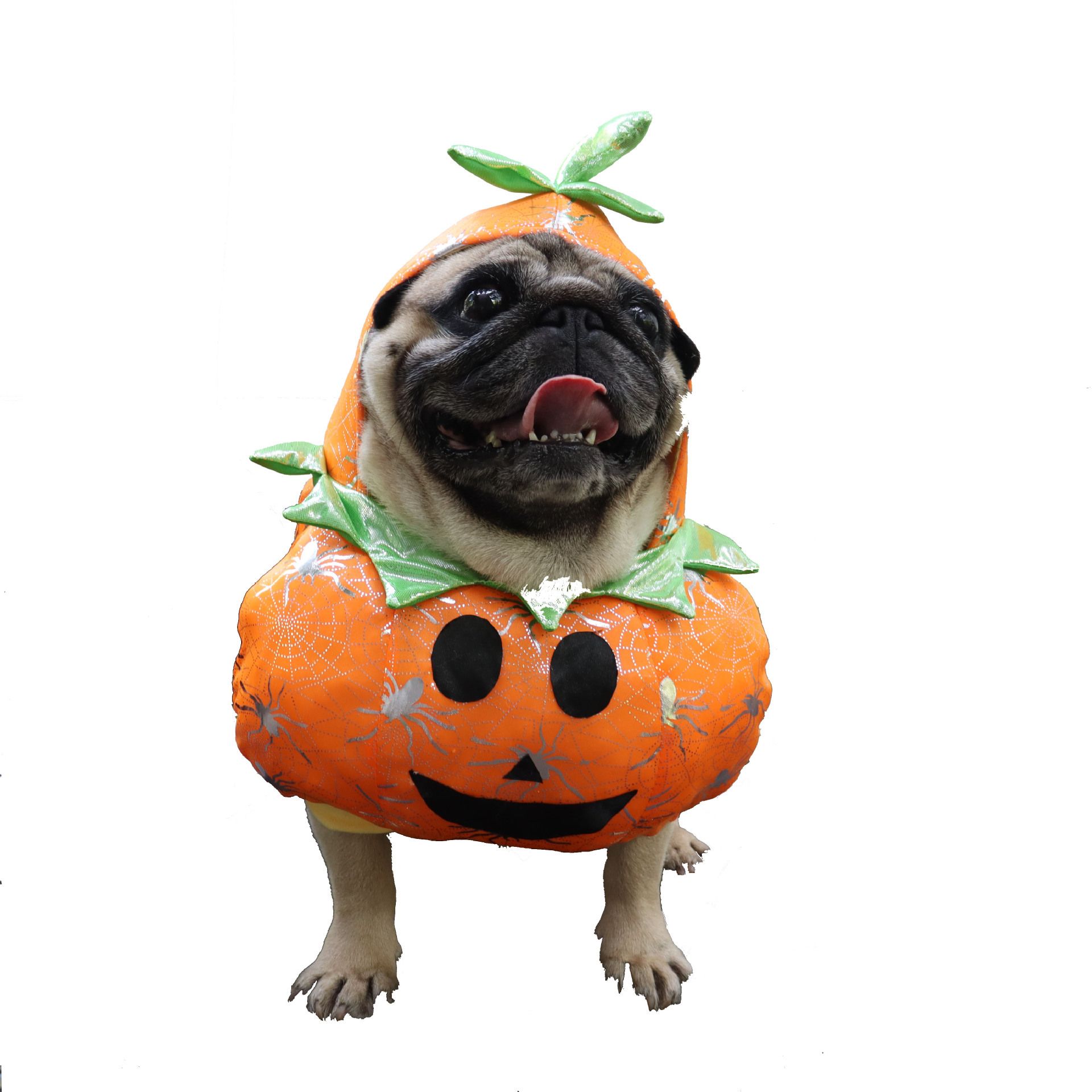 Pet Transformation Outfit Pumpkin Stand Up Dog Cat Cloth XL — image 1