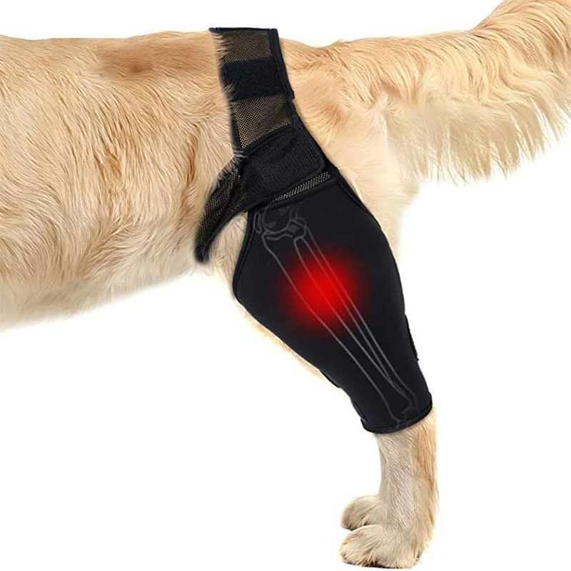 Dog Leg Brace Support Knee Pad Black M