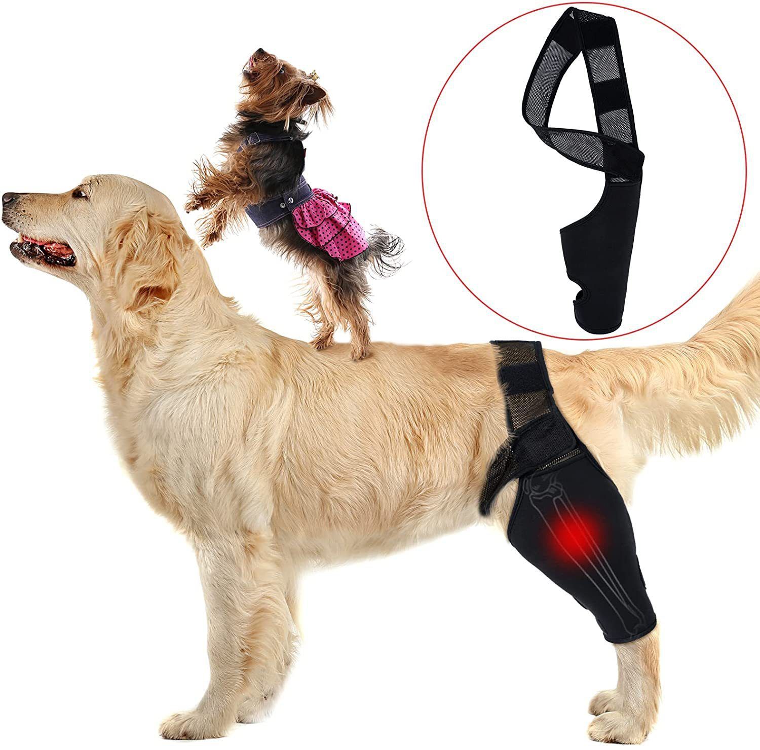 Dog Leg Brace Support Knee Pad Black view 2