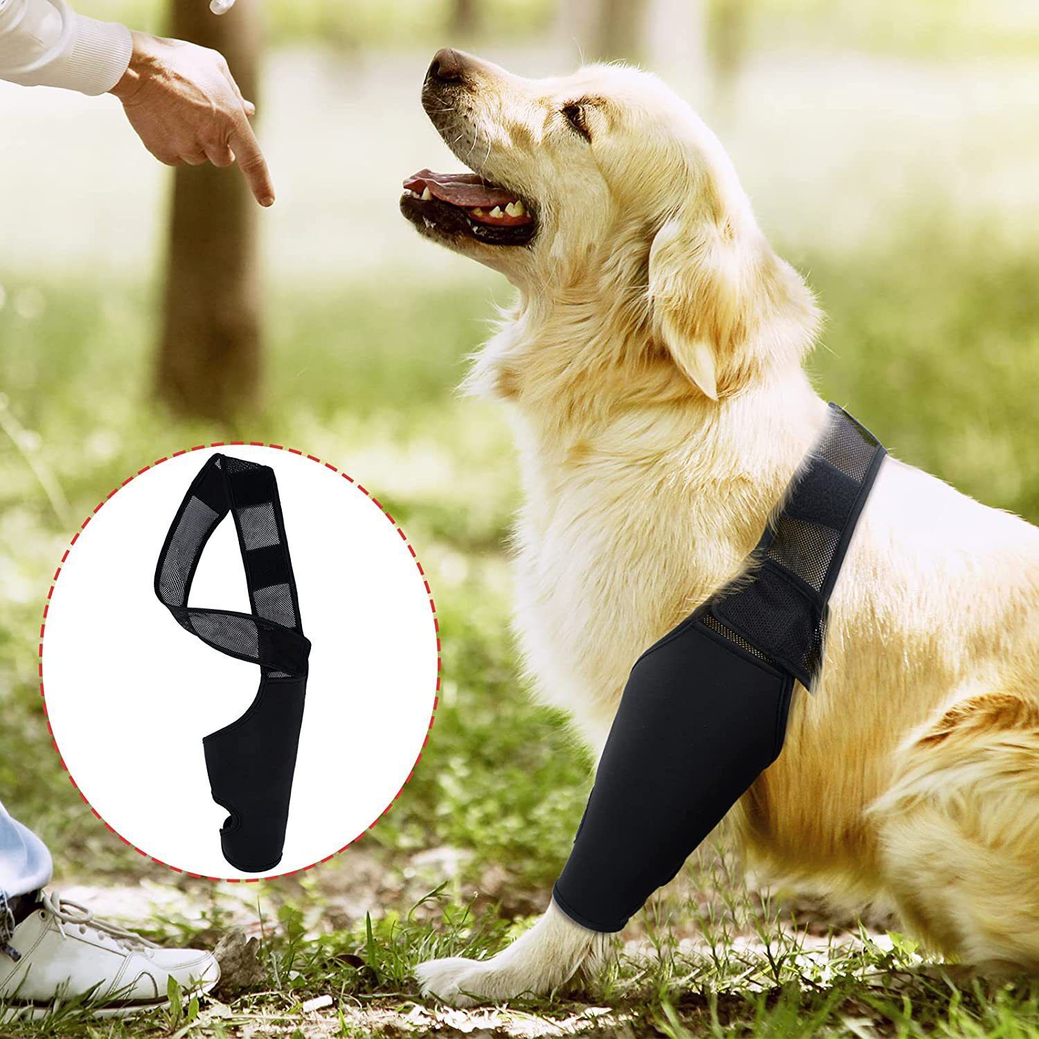 Dog Leg Brace Support Knee Pad Black view 4