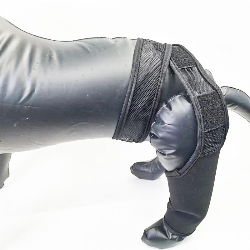 Dog Leg Brace Support Knee Pad Black XL view 6